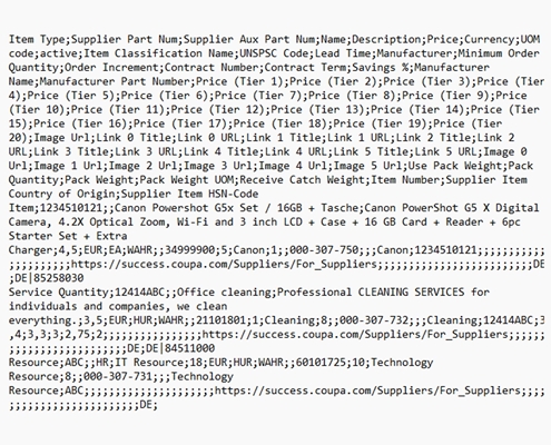 coupa csv format